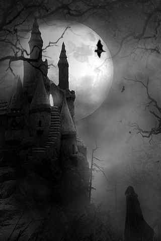 黑暗月色下的城堡
