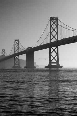 大桥黑白写照