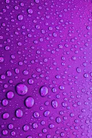 紫色背景下的水珠