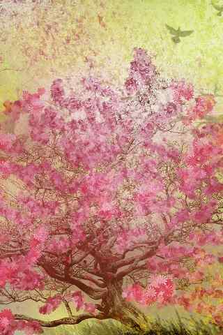 手绘樱花树高清手机图片