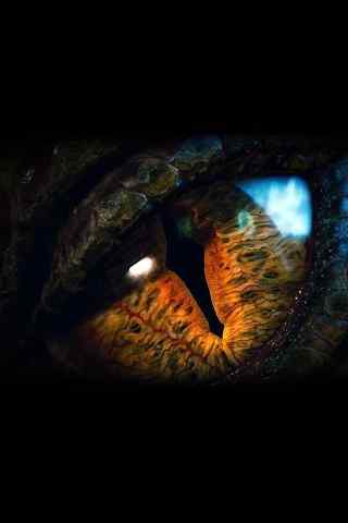 侏罗纪暴龙的眼神