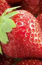 红色|鲜红水果草莓高清手机壁纸