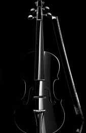 乐器|乐器中的王  后小提琴高清手机壁纸