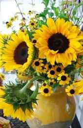 向日葵|花坛向日葵美丽花卉植物高清手机壁纸