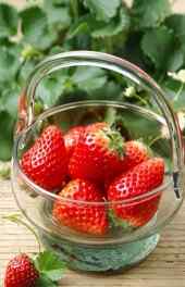 草莓|草莓水果高清手机壁纸
