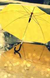 非主流|黄色雨伞非主流高清手机壁纸