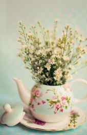 菊花|花束水壶唯美植物摄影高清手机壁纸