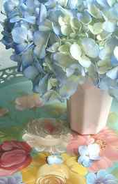 盆栽|盆栽花卉图片高清高清手机壁纸