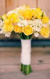 玫瑰|黄色玫瑰花朵植物摄影可爱高清手机壁纸