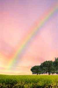 雨后清新唯美彩虹
