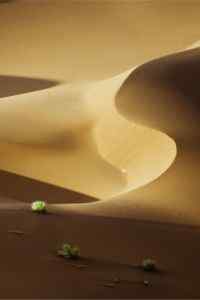 沙漠美丽风景摄影