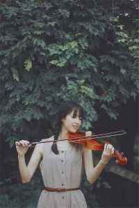 夏日新清风小提琴