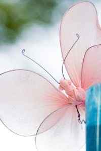 可爱美丽的蝴蝶花朵高清手机壁纸