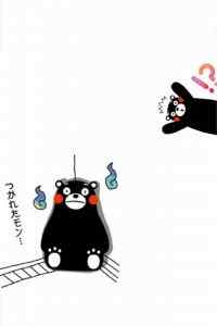 日本可爱萌物熊本熊高清手机桌面壁纸下载
