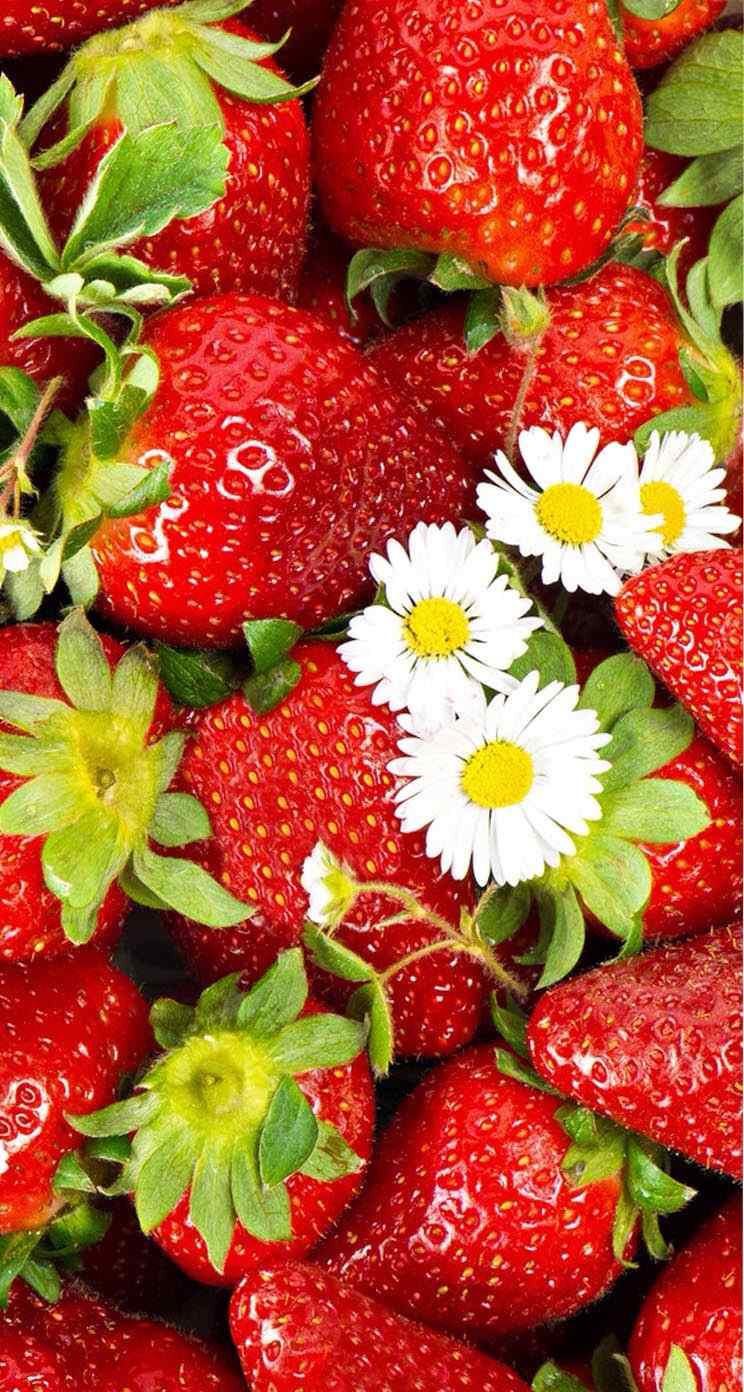 诱人草莓桌面主题高清手机壁纸下载