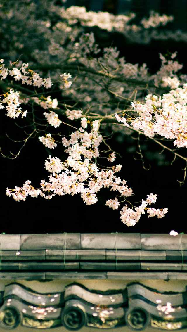 日式庭院风景路牌高清手机壁纸