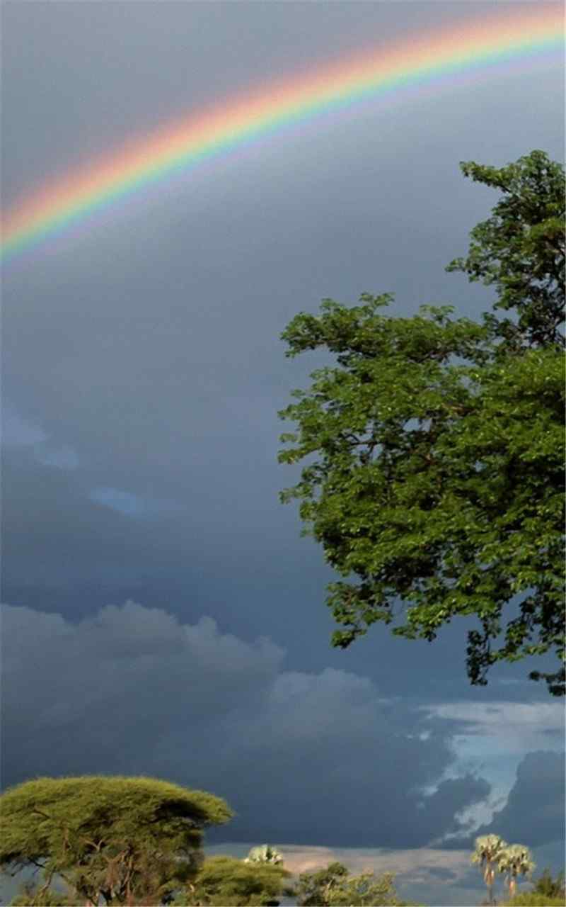 梦幻的清新雨后彩虹唯美图片高清手机壁纸