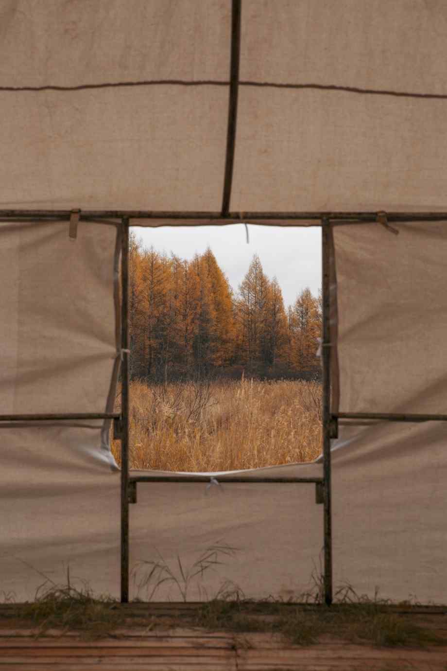 秋天自然摄影高清手机壁纸