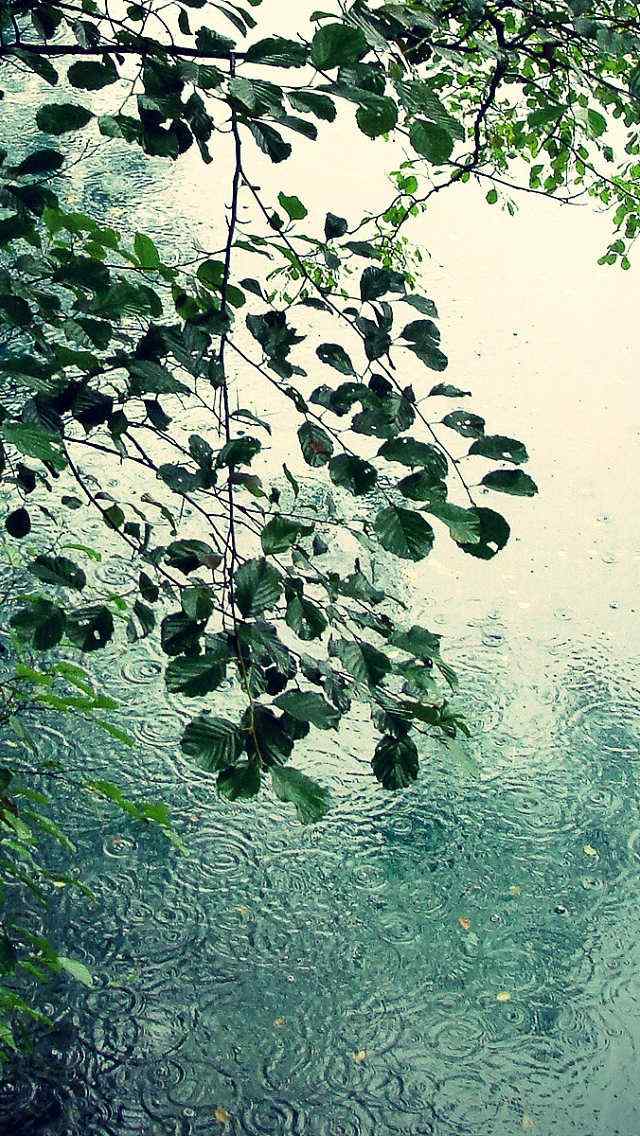 倾盆大雨摄影iPhone壁纸下载