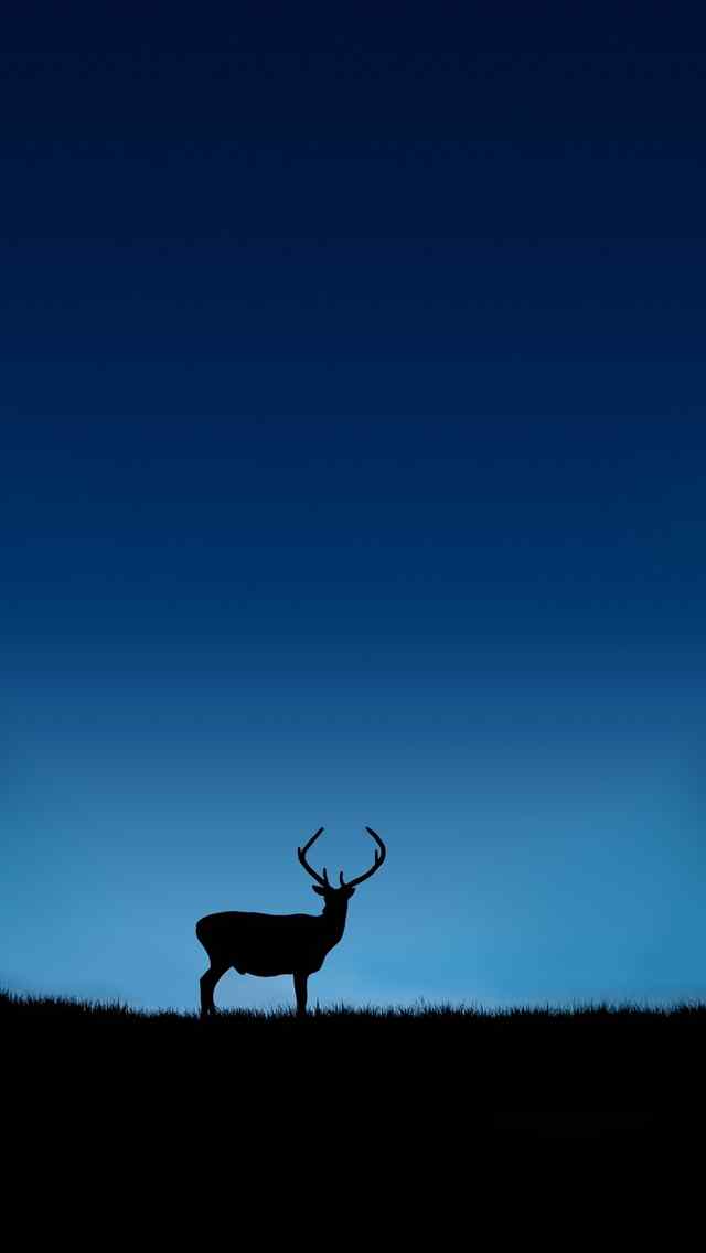 大自然可爱动物麋鹿高清手机壁纸图集