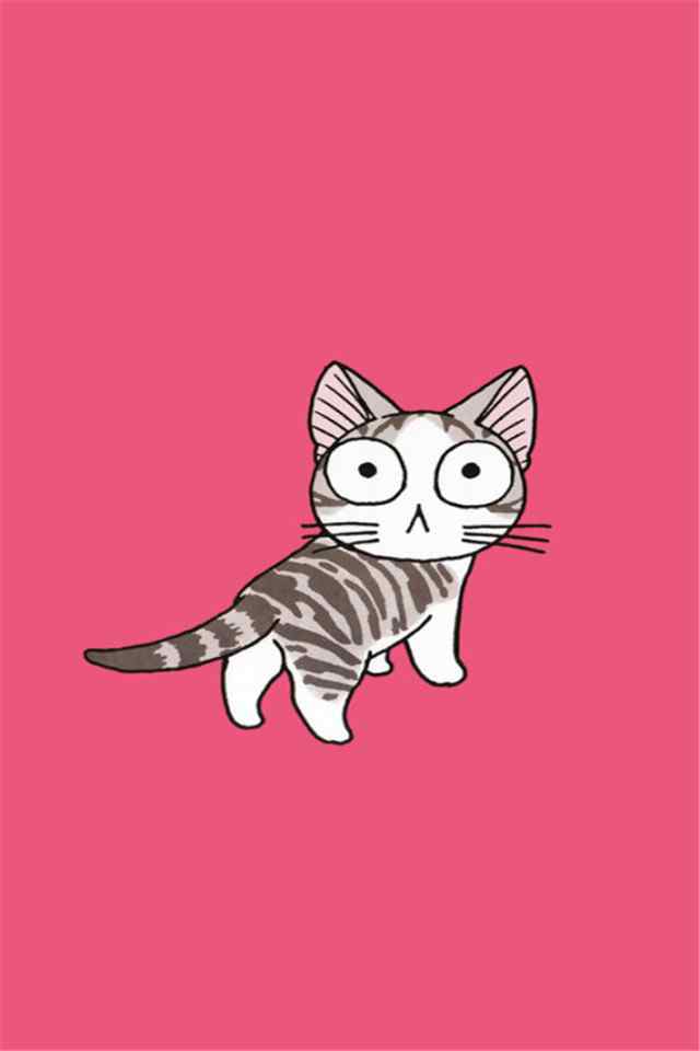 如果我是一只猫起司猫高清可爱高清手机壁纸下载
