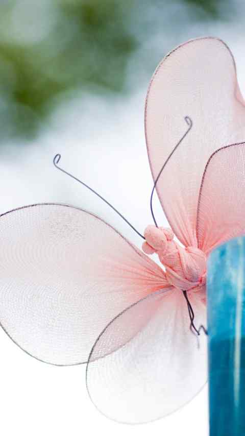 可爱美丽的蝴蝶花朵高清手机壁纸