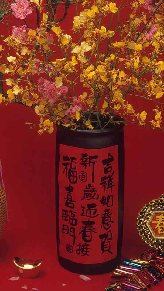 红红火火春节540X960高清手机壁纸