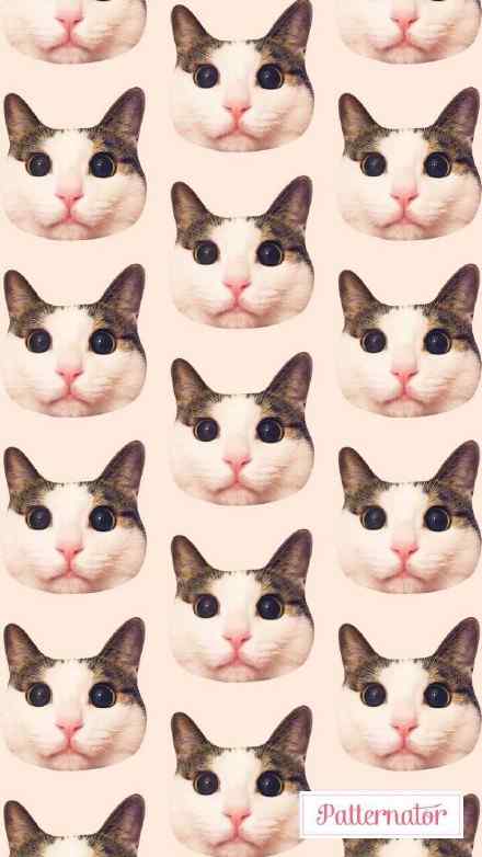 可爱的猫咪平铺图案高清手机壁纸第一辑