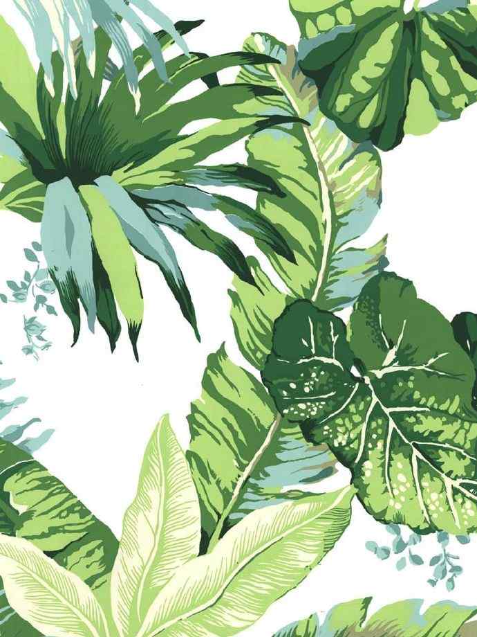 叶子纹理绿色植物手机锁屏壁纸