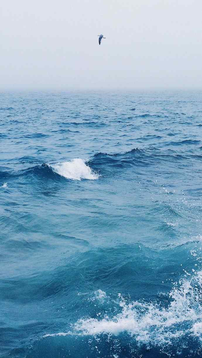 深蓝大海纯粹自然风景高清手机壁纸