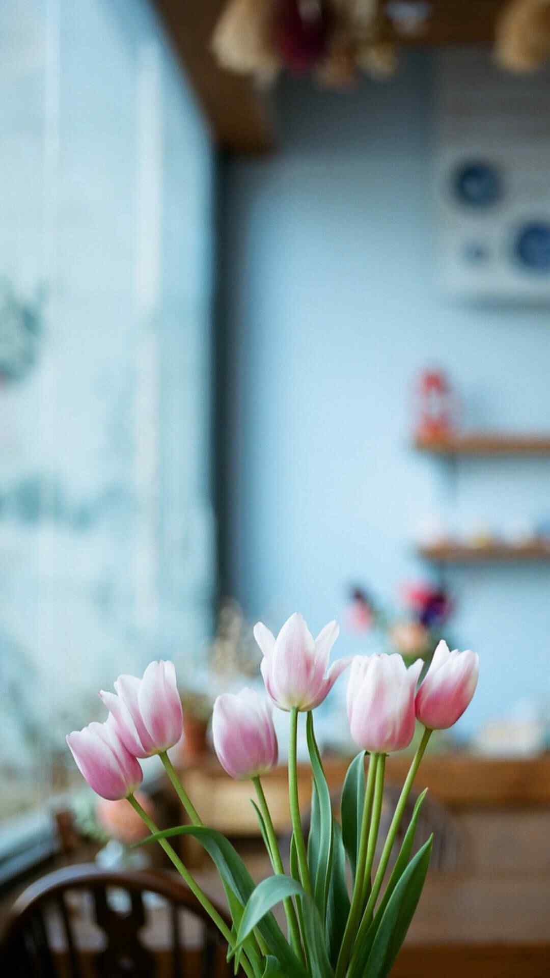小清新唯美花卉手机壁纸