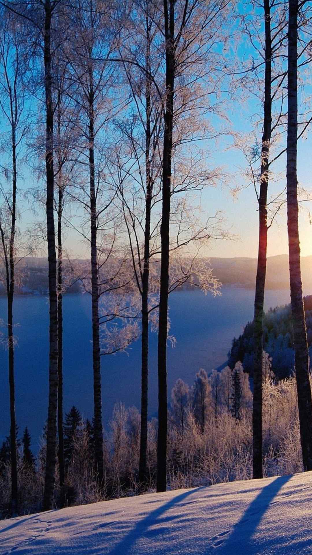 唯美夕阳下的雪景高清手机壁纸