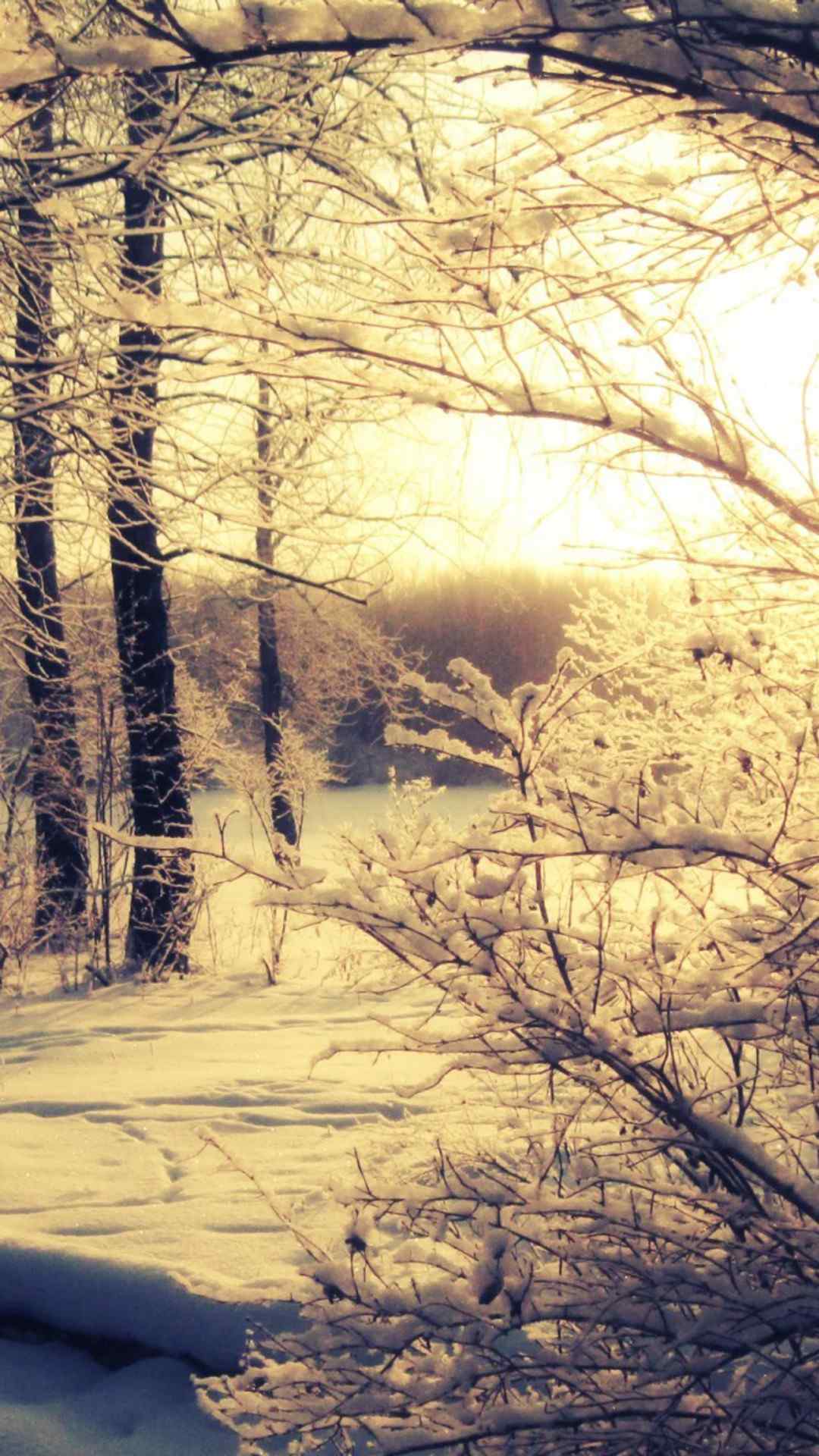 唯美夕阳下的雪景高清手机壁纸