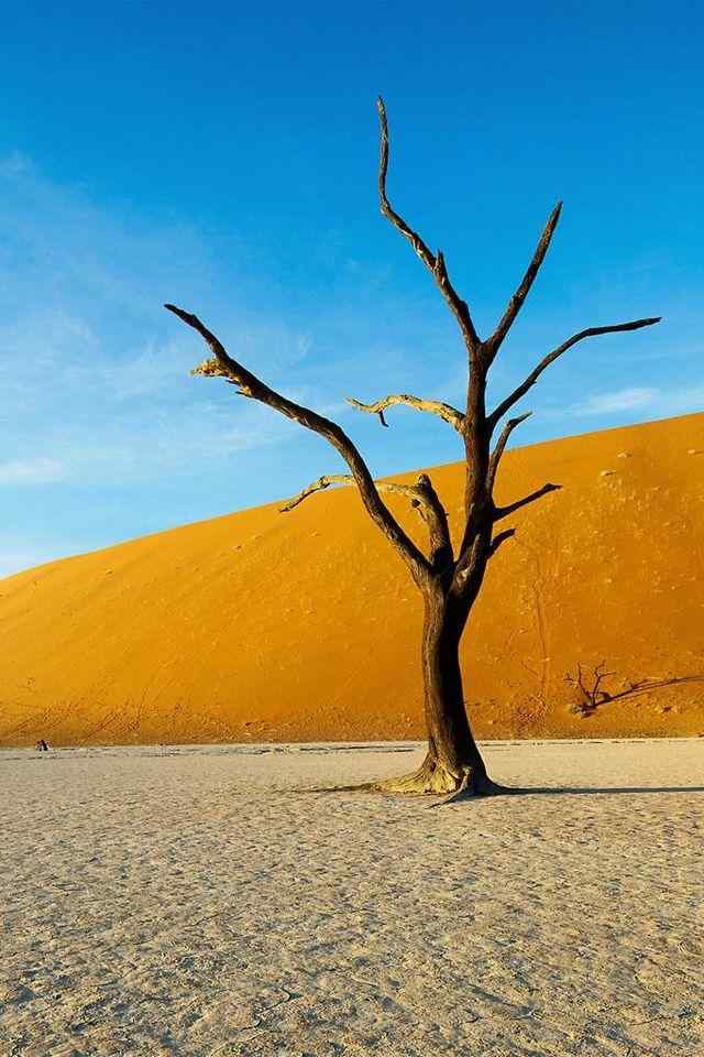 沙漠摄影高清手机壁纸