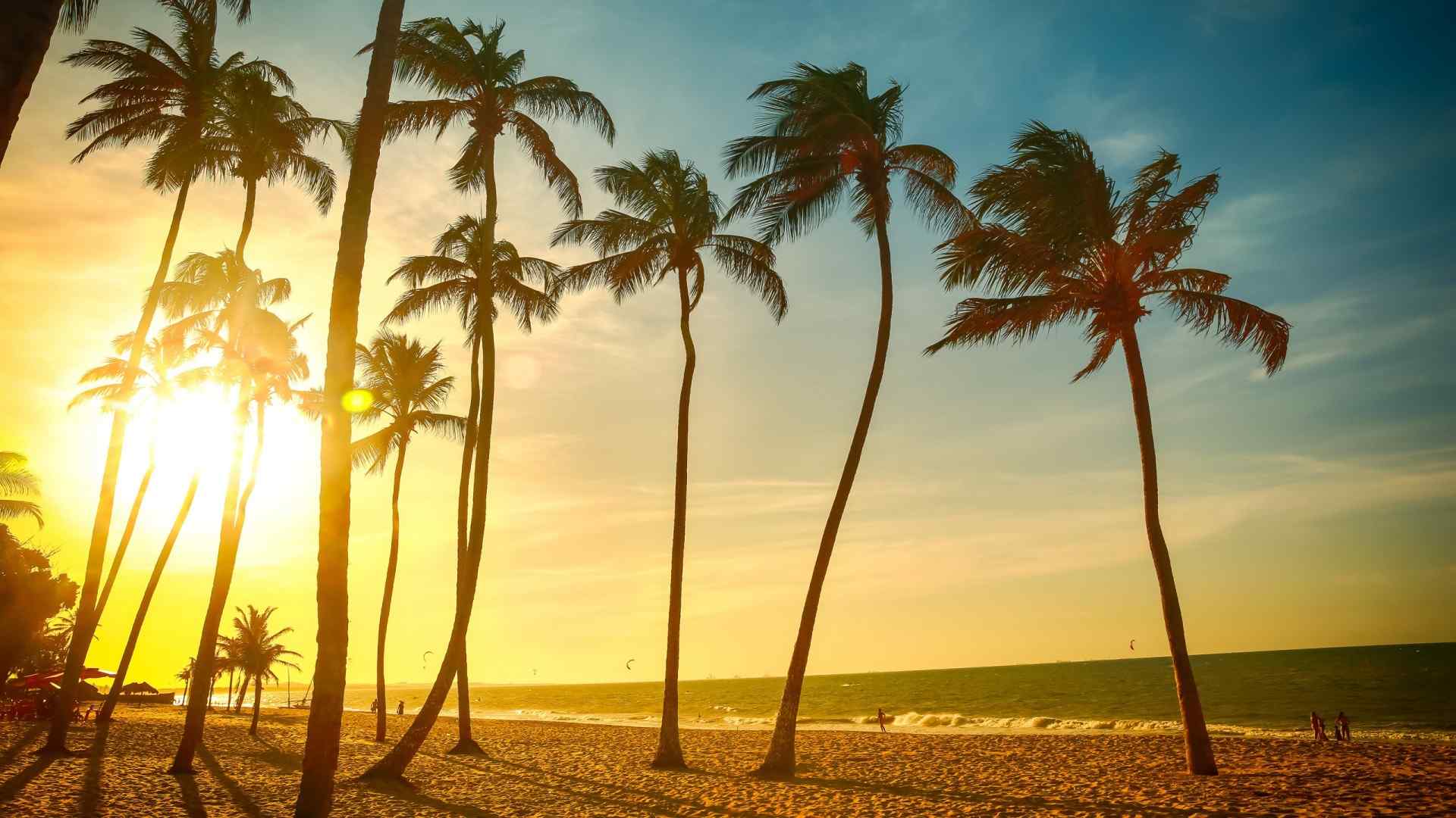 沙滩椰子树唯美高清电脑壁纸