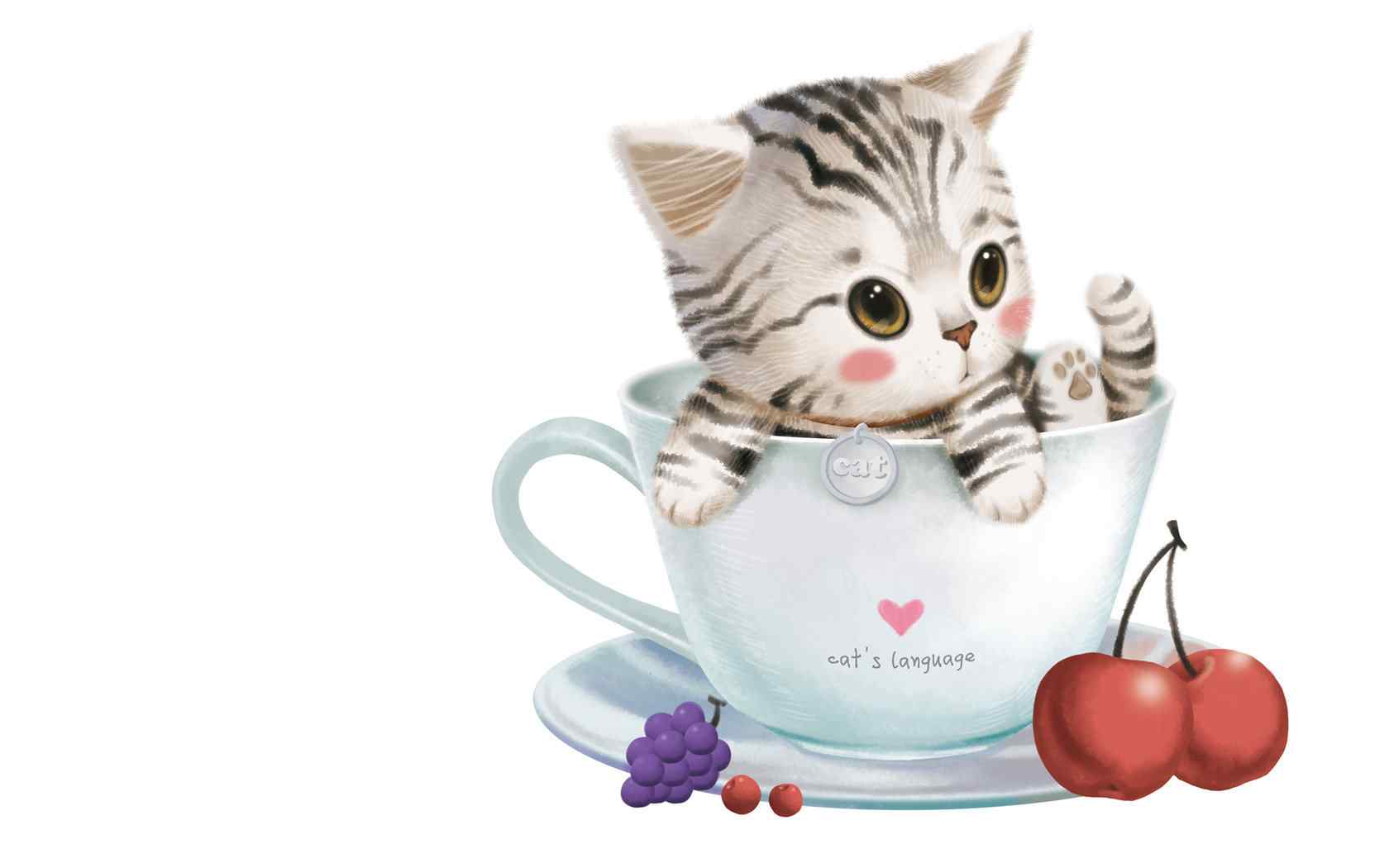 杯中可爱的小花猫图片电脑桌面壁纸下载