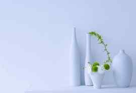 简约风格清新的盆栽植物桌面壁纸高清下载