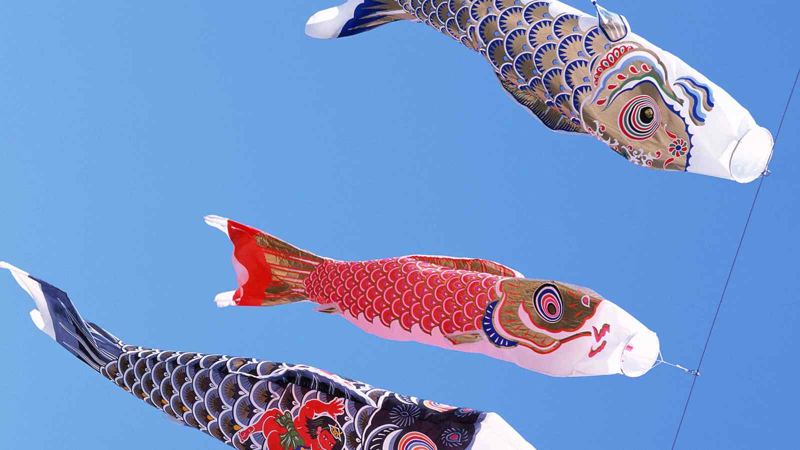 日本鲤鱼旗高清图片电脑壁纸