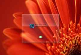 红色花卉XP登录界面
