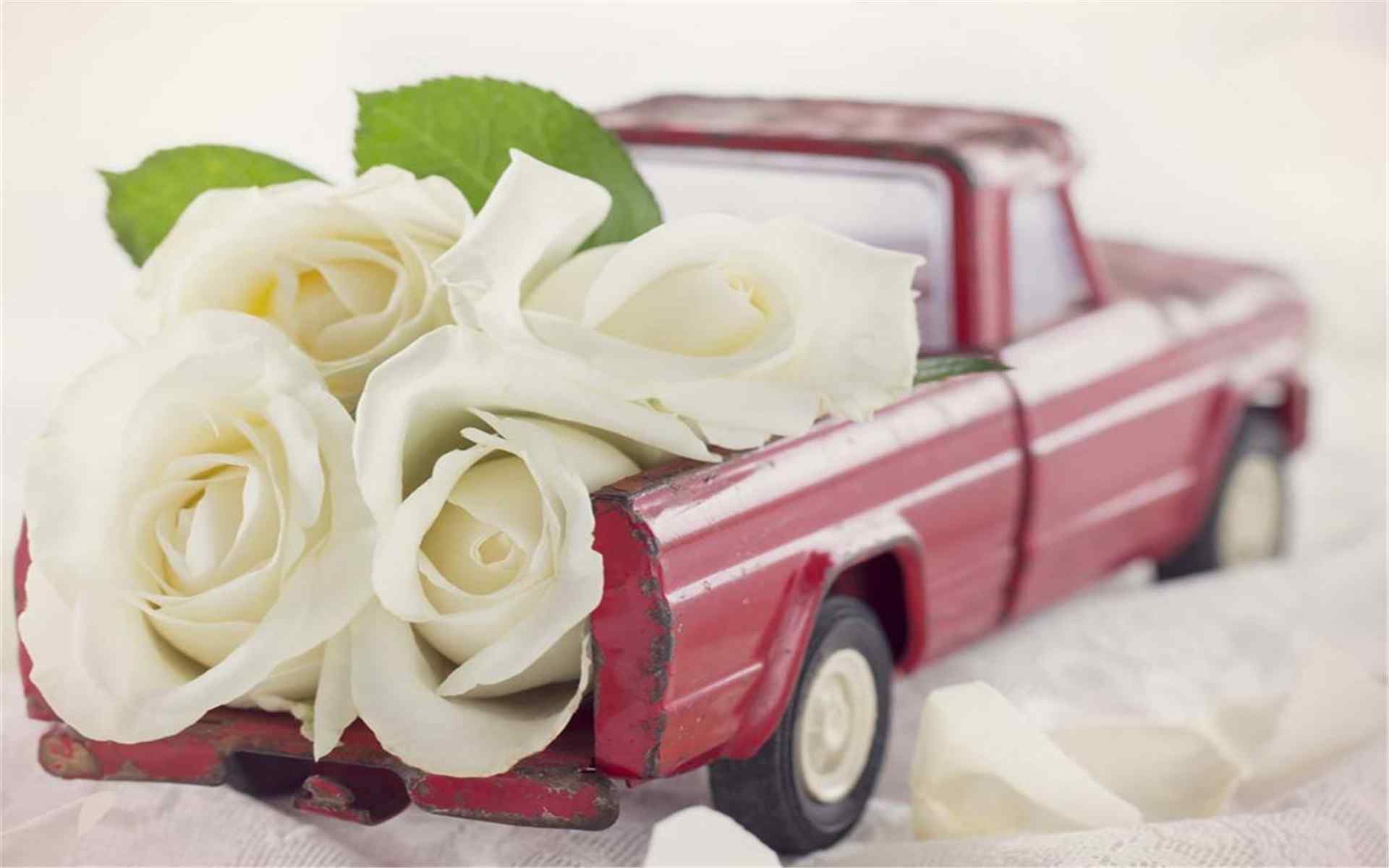 唯美创意玩具小车和鲜花搭配图片桌面壁纸