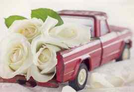 唯美创意玩具小车和鲜花搭配图片桌面壁纸