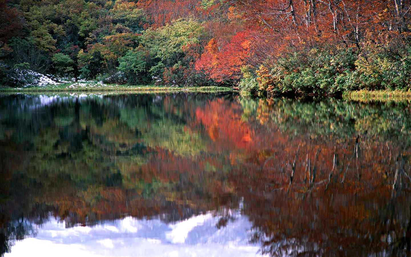 湖泊秋天的红叶倒影美景桌面壁纸
