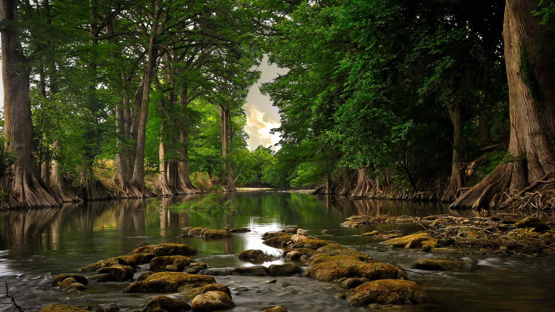美丽的大自然森林溪水风景桌面壁纸