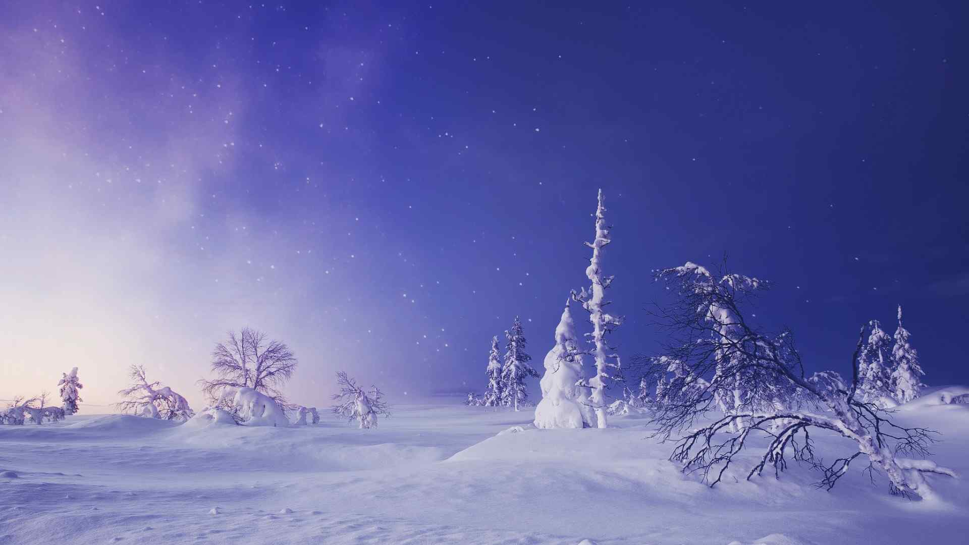 芬兰拉普兰冬季风景桌面壁纸