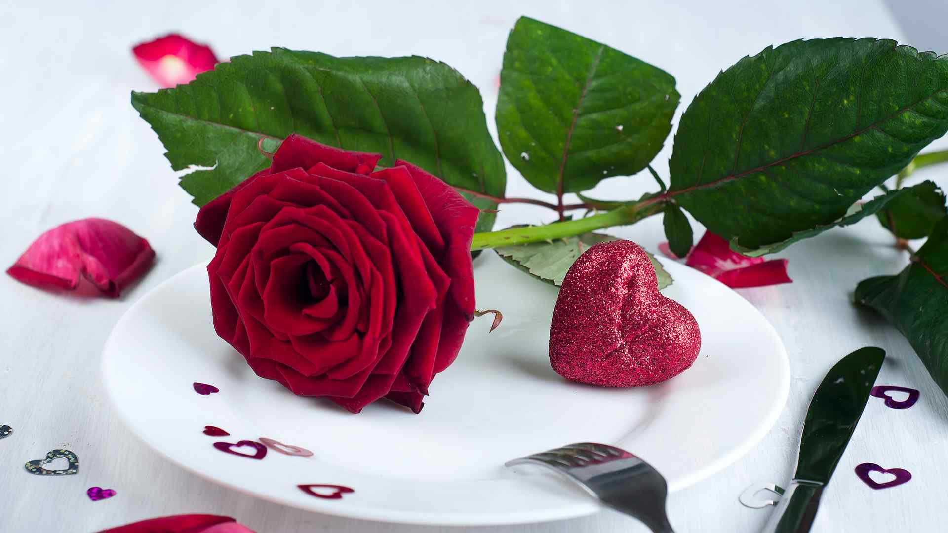 唯美玫瑰花卉精选高清桌面壁纸图片大全