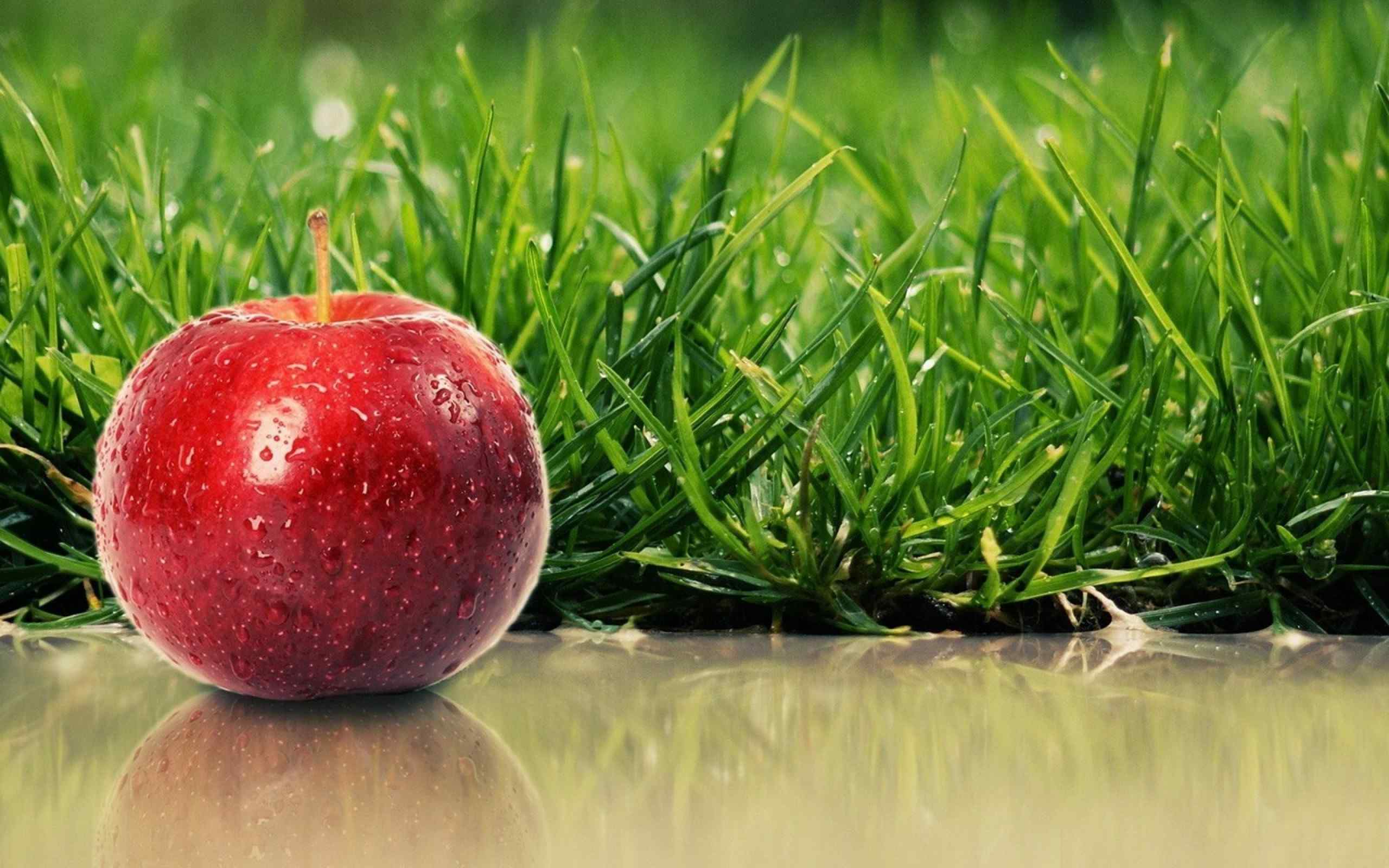 雨后青草背景大红苹果桌面壁纸
