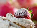 草莓冰淇淋之恋桌面壁纸高清下载