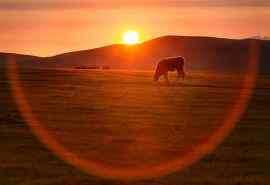 内蒙古乌拉盖草原唯美风景图片桌面壁纸