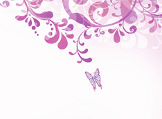 最漂亮的蝴蝶动态壁纸超清