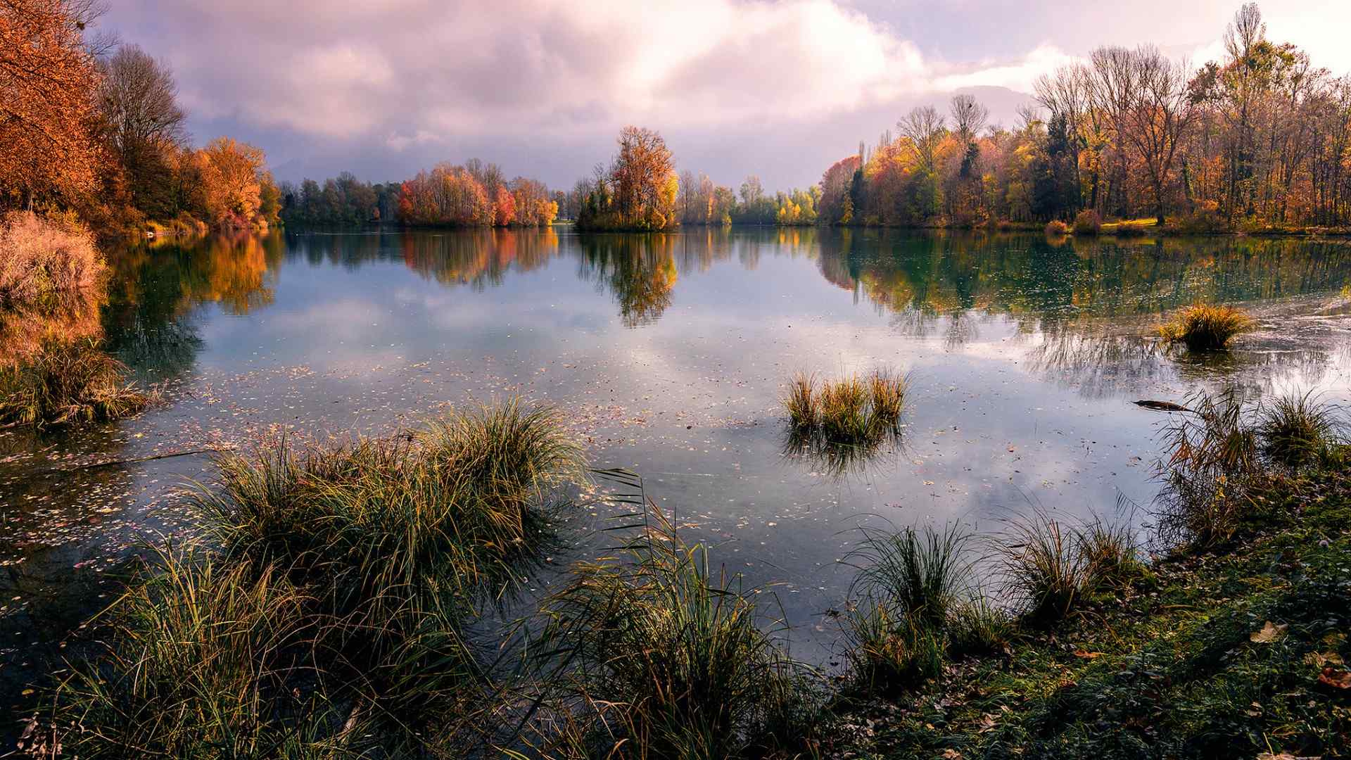 池塘湖水秋季风景电脑桌面壁纸